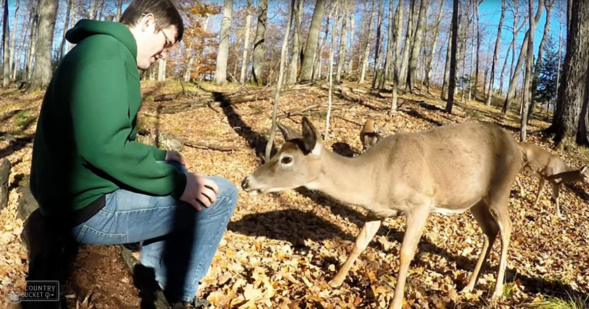A white-tailed deer interacting with a young adult male wearing a green hoodie in an outdoor forested area during autumn, with fallen leaves and bare trees indicating the season.
