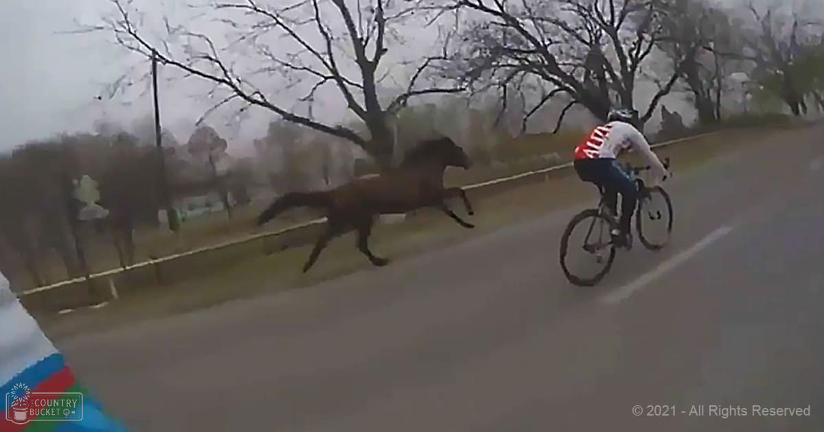 An adult male cyclist in a white cycling jersey with red and black accents, dark blue shorts, riding a bicycle on an outdoor road lined with trees, suggesting late autumn or winter under diffused overcast light.