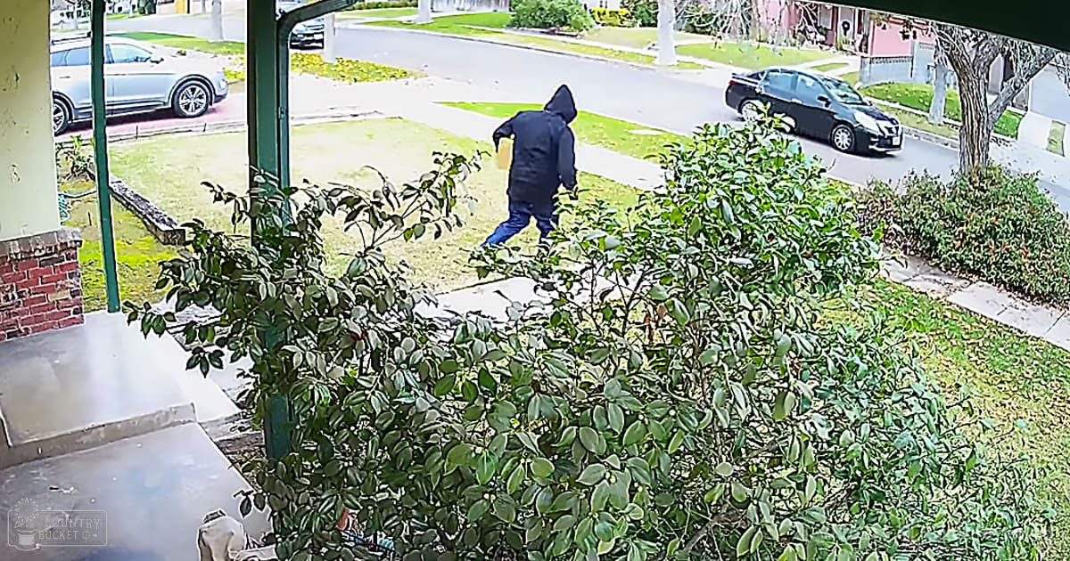 Adult male walking away in a suburban residential area with houses, lawns, trees, parked cars, and clear daylight visibility.