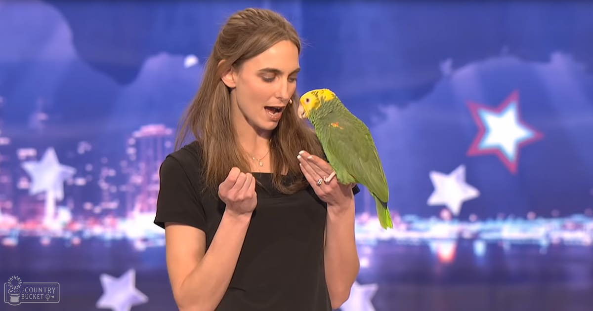 A parrot, likely a Yellow-crowned Amazon, with green body and yellow head, held by an adult female in a studio setting with cityscape lights at night.