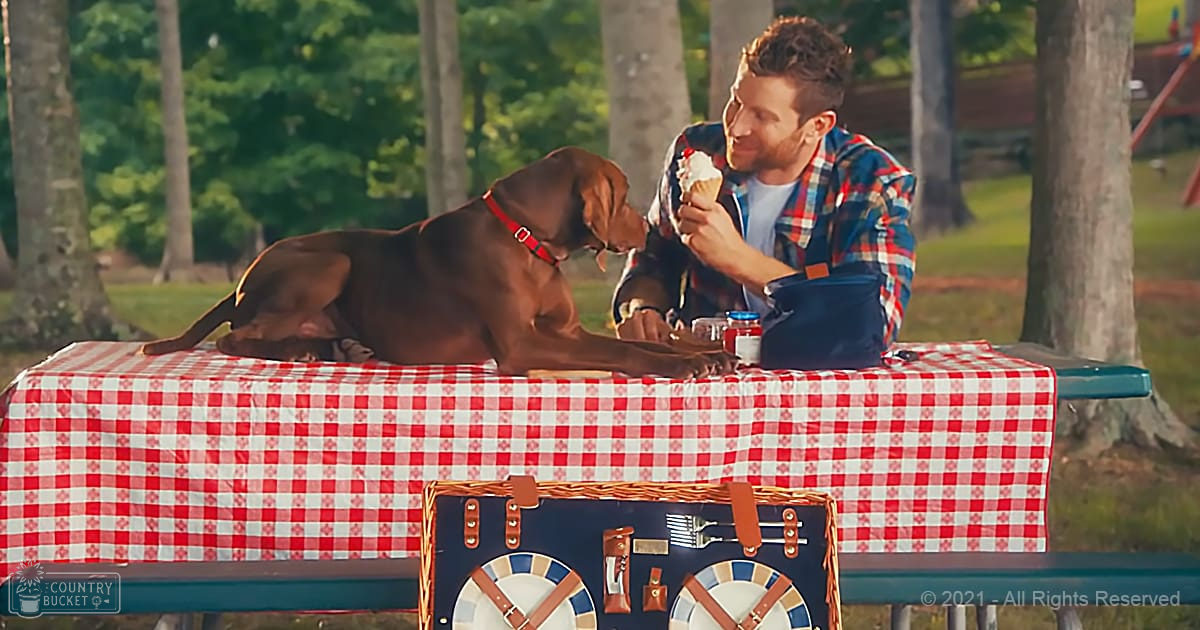 A young adult male shares an ice cream with his Vizsla in a sunny summer park setting, surrounded by trees and picnic items on a red-and-white checkered tablecloth.
