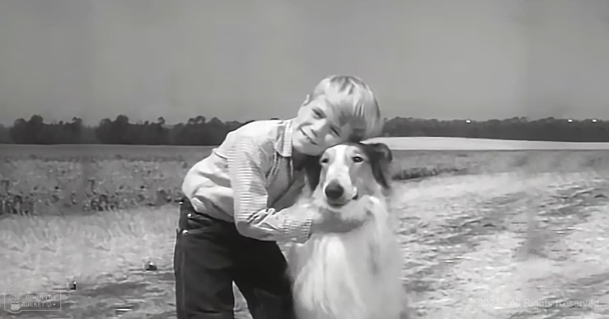 A young adult male wearing mid-20th century overalls with suspenders and a long-sleeved shirt stands in an open rural field with a slender Borzoi dog, likely during late spring or summer.