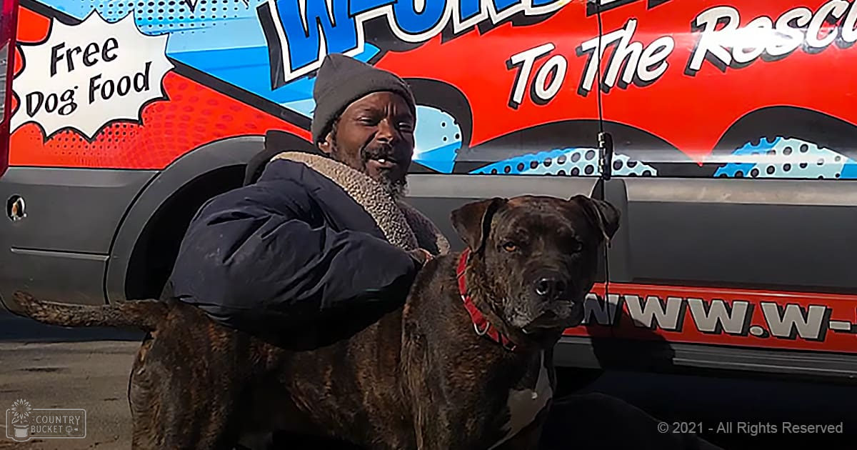 An adult male with a brindle pit bull on an urban pavement under daylight, with a van marked 'To The Rescue' in red, blue, and white.