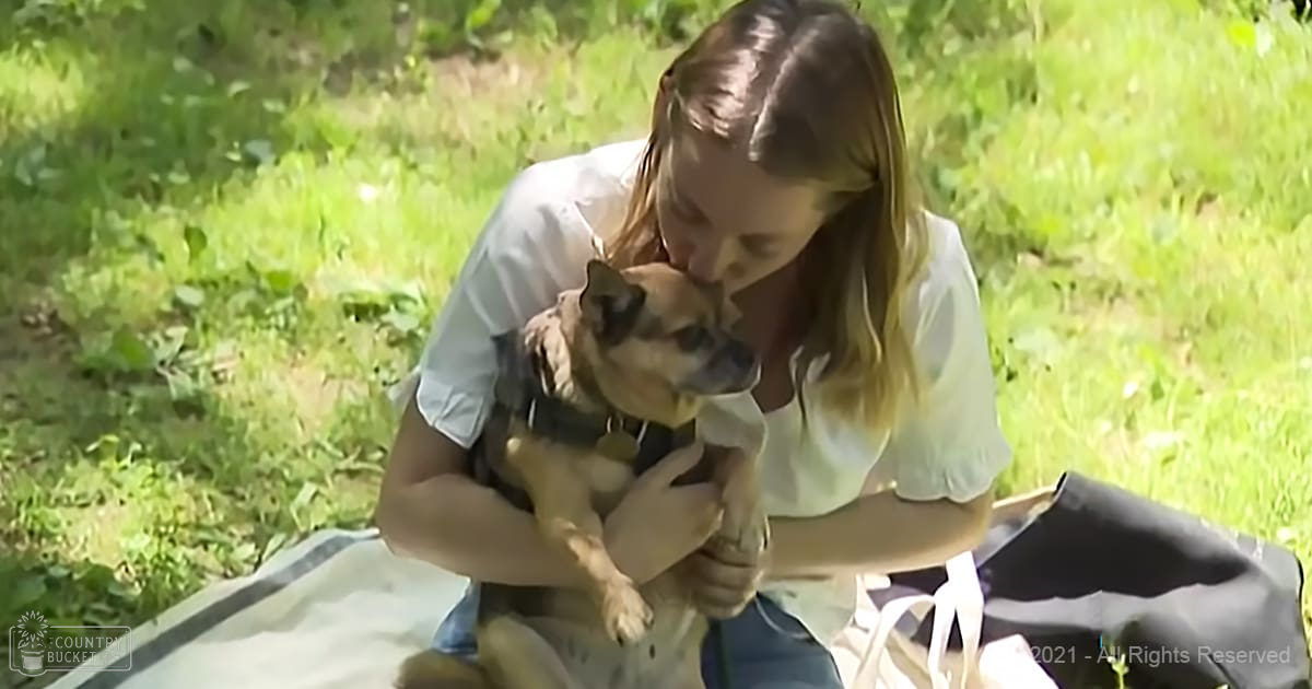 A young adult female holds a brownish Pug or similar small dog in an outdoor spring or summer setting with lush green grass and trees, wearing a light blue short-sleeved blouse and dark pants.