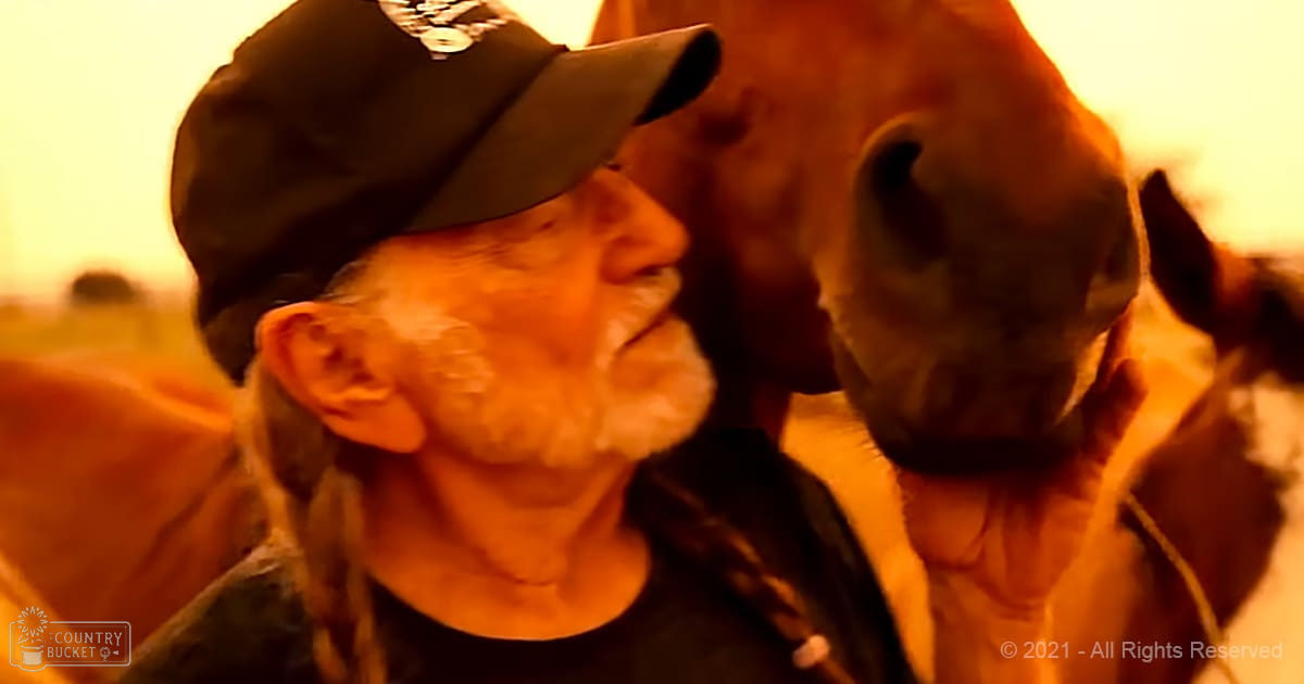 An older adult male wearing a dark baseball cap and patterned t-shirt interacts with an adult horse in a rural outdoor setting at sunrise or sunset, dominated by warm orange and yellow tones.