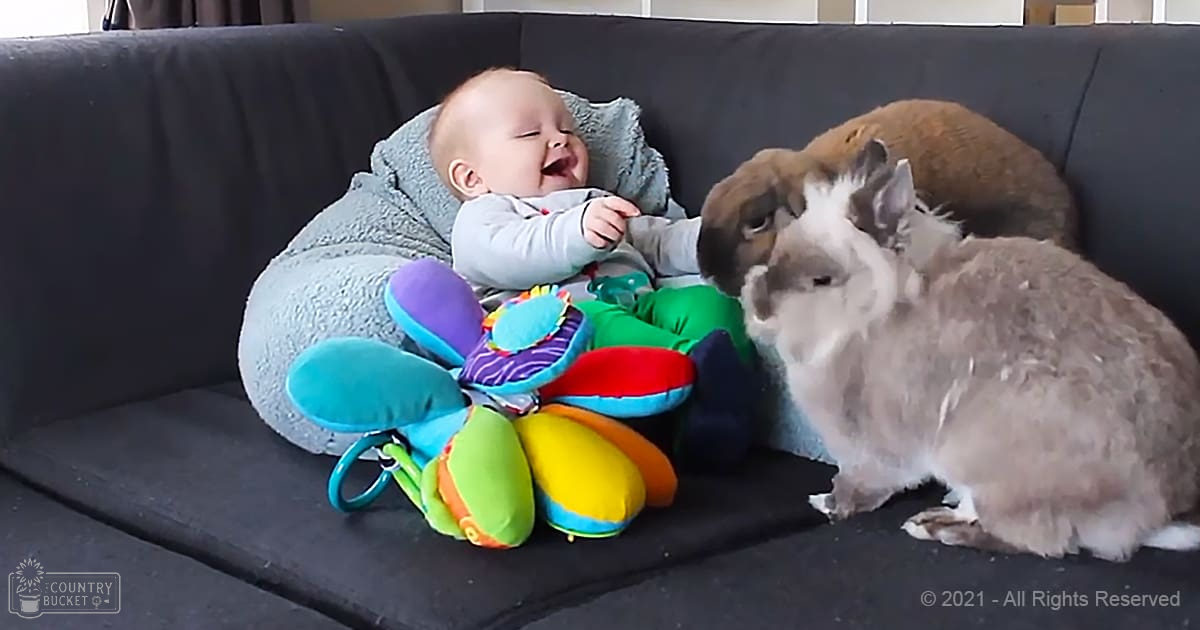 An adult male singer in a light blue long-sleeve shirt with small shapes or designs, green pants, and a lop-eared rabbit on a colorful plush toy near a dark gray sofa in a living room with natural daylight;