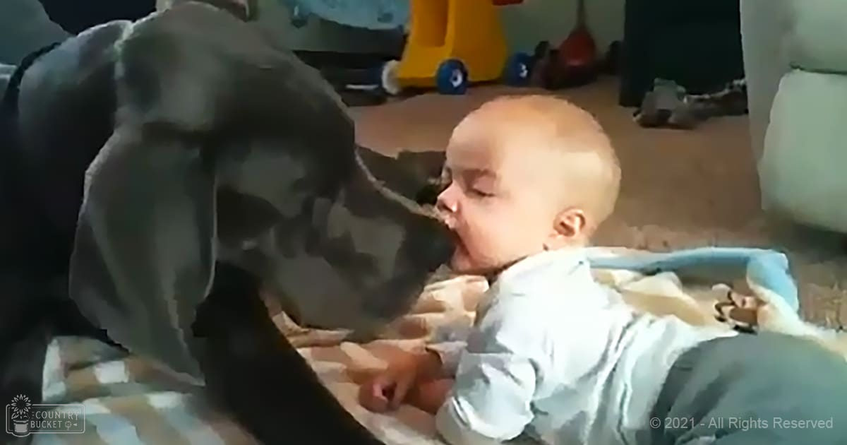 An infant male in a light blue shirt lies indoors with a Great Dane dog nearby; toys and furniture suggest it's a living room or playroom.
