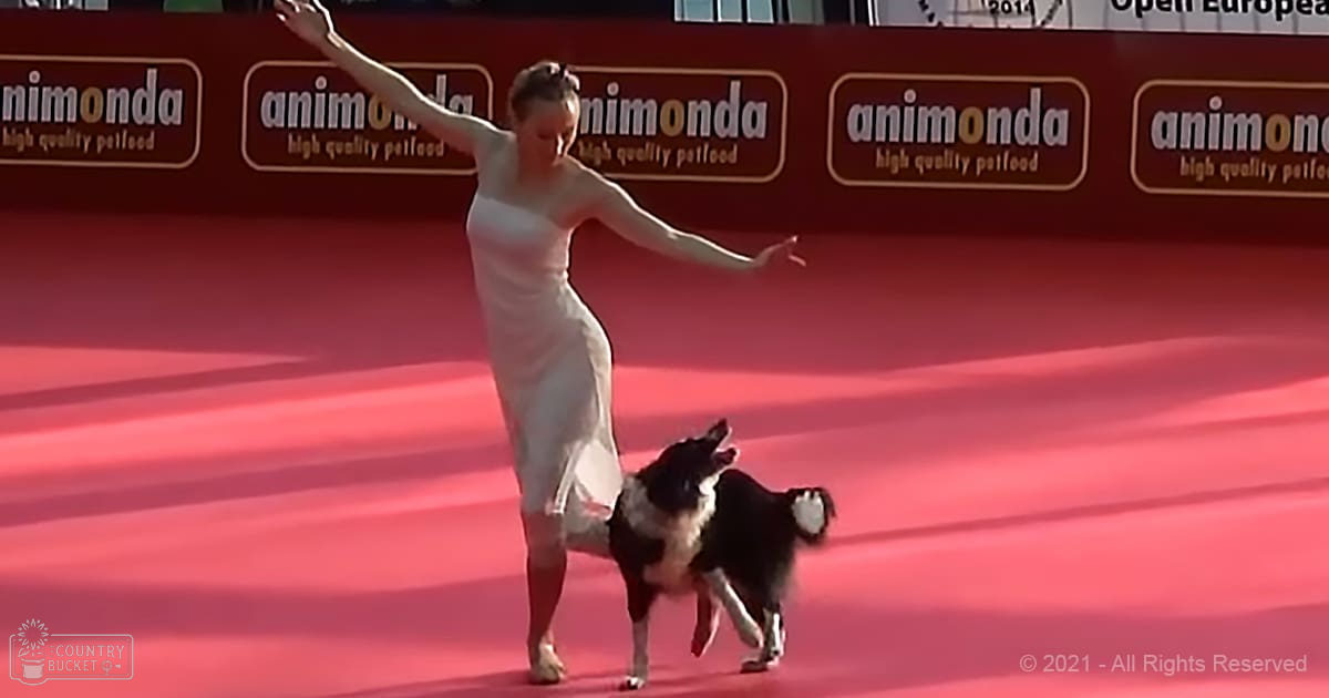 A young adult female in a white sleeveless dress dances with her black and white Border Collie dog indoors under natural light.