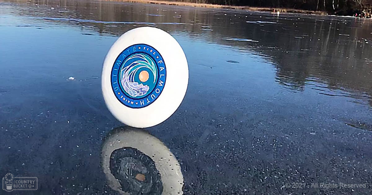 A white frisbee with blue text and design sits on a frozen body of water, surrounded by vegetation and trees in soft lighting conditions.