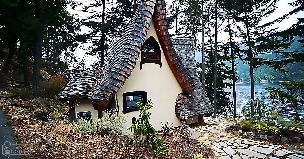 A whimsical house with a curved and twisted shingled roof stands amidst tall forested trees near a body of water, suggesting an autumn daytime scene.