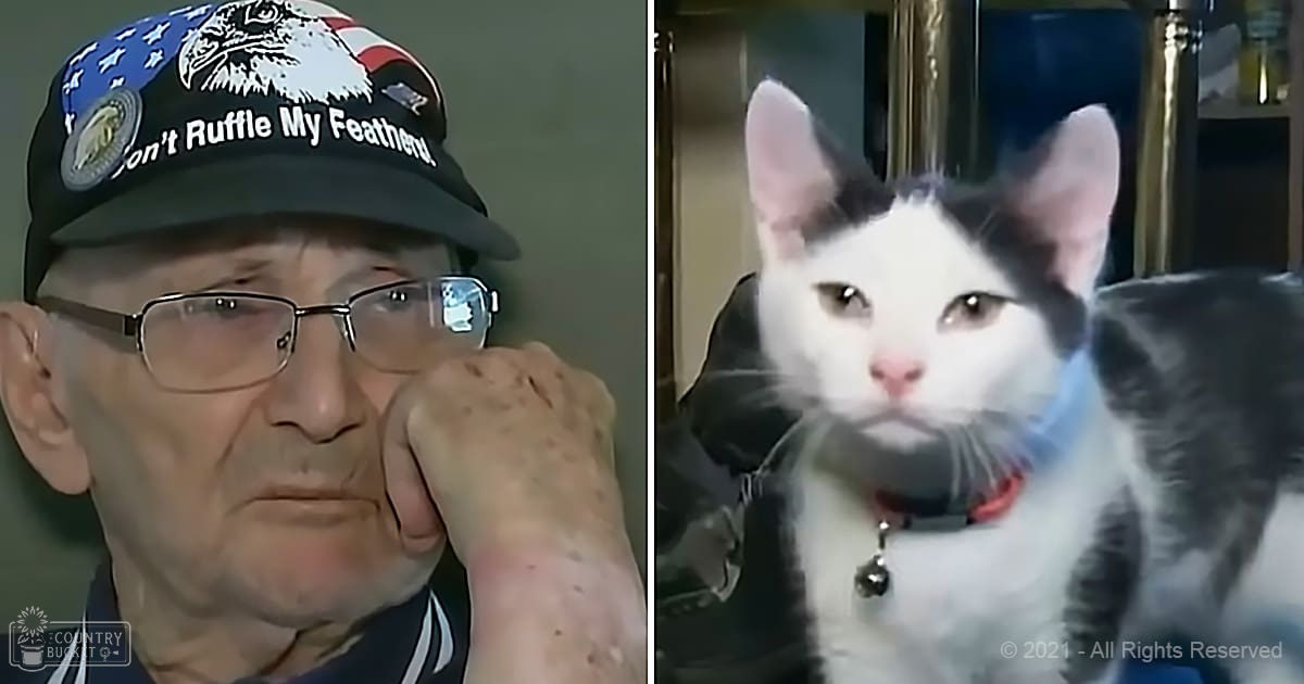 An older adult male wearing glasses and a dark shirt with white stripes in a domestic setting with a white-and-black cat.