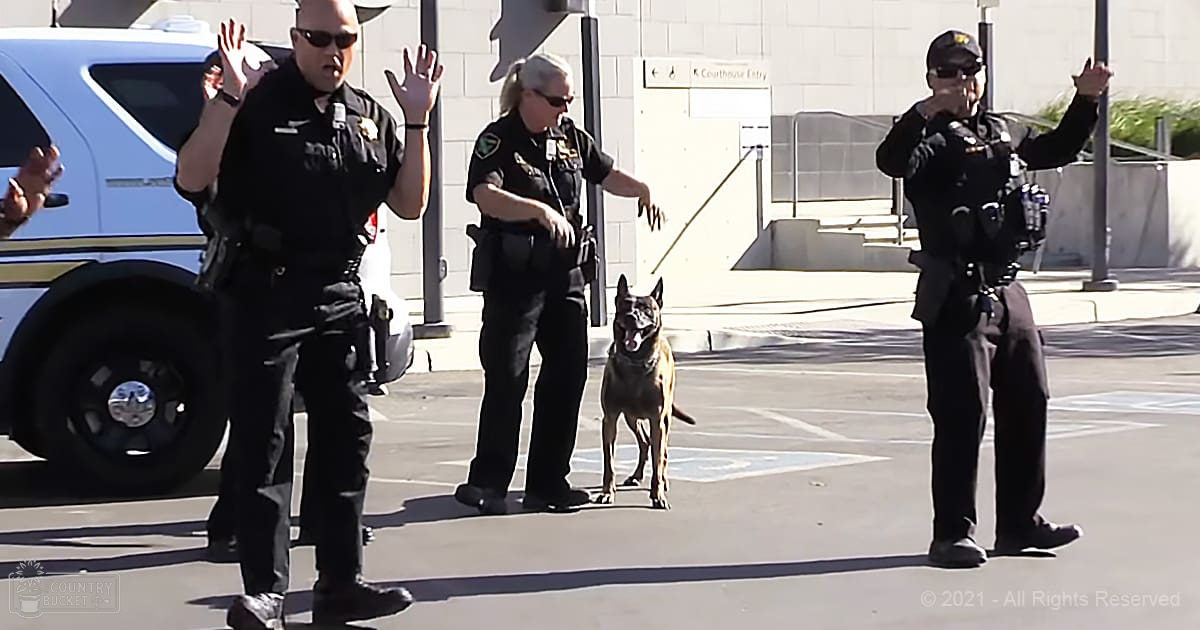 An adult male police officer wearing a black uniform with patches stands beside an adult female in similar attire and a dog, likely a Belgian Malinois, in front of a courthouse on a sunny day.