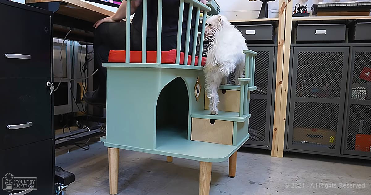 A small, fluffy white dog with likely adult characteristics is in a workshop or garage setting. The environment includes light blue cat furniture, metal cabinets, and various tools.
