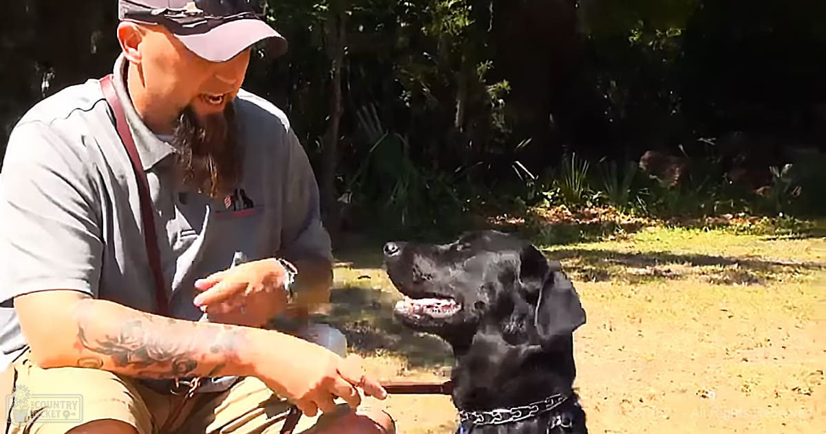 Adult male wearing light gray polo with logo, khaki shorts, red suspenders and dark cap interacts with solid black adult Labrador Retriever in a natural outdoor setting with trees and grass under daytime light.