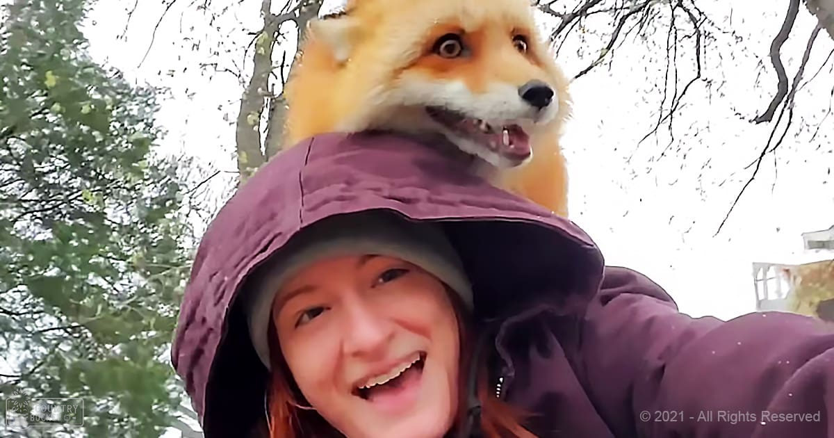 A young adult female wearing a maroon hooded jacket with a fox on her head, outdoors in a park-like setting during late afternoon light.