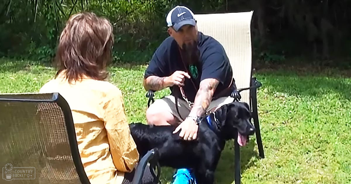 A black dog, possibly a Labrador Retriever or similar large breed, interacts with an adult male in a park-like setting under bright daylight.