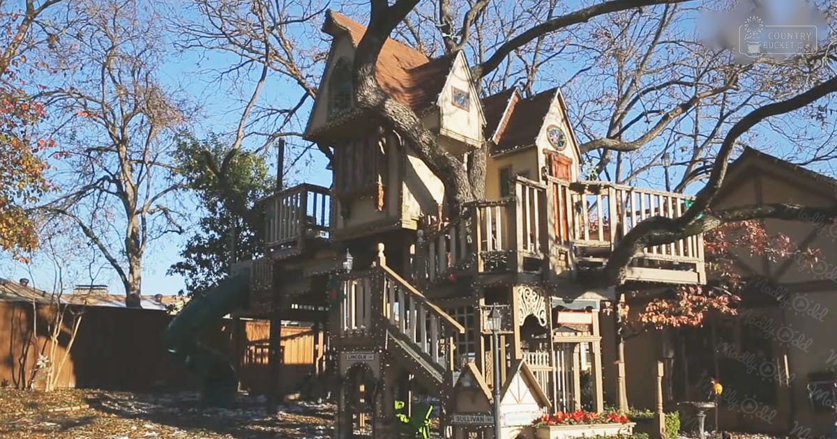 A whimsical multi-level treehouse adorned with Christmas lights in a residential outdoor setting, surrounded by trees and clear blue sky on a sunny day during late autumn or early winter.