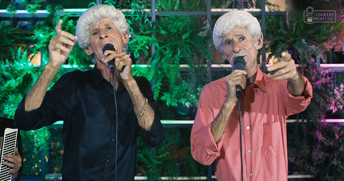 Two older adult males in a musical performance setting, wearing button-up shirts with decorative lighting and green foliage in the background.
