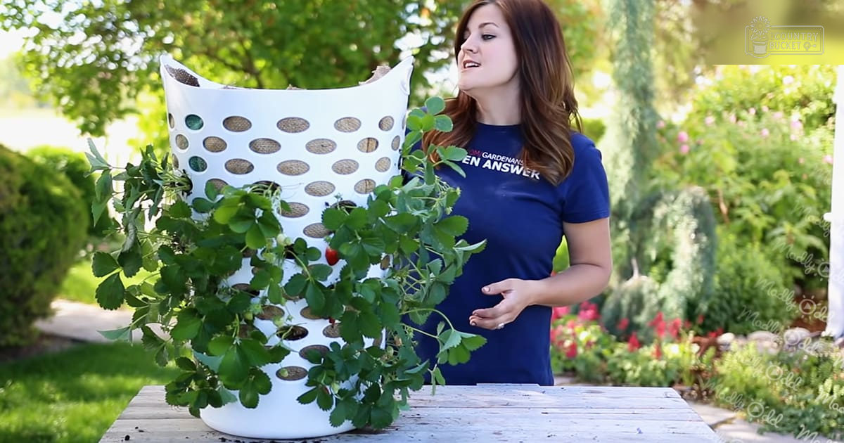 A young adult female in an outdoor garden setting, wearing a dark blue cotton T-shirt with white text reading 'GARDENANS EN ANSWER,' surrounded by lush greenery and natural sunlight.