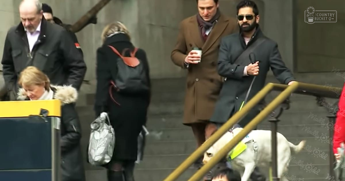 A group of pedestrians in an urban setting, dressed for cold weather with a guide dog partially visible on the lower right.
