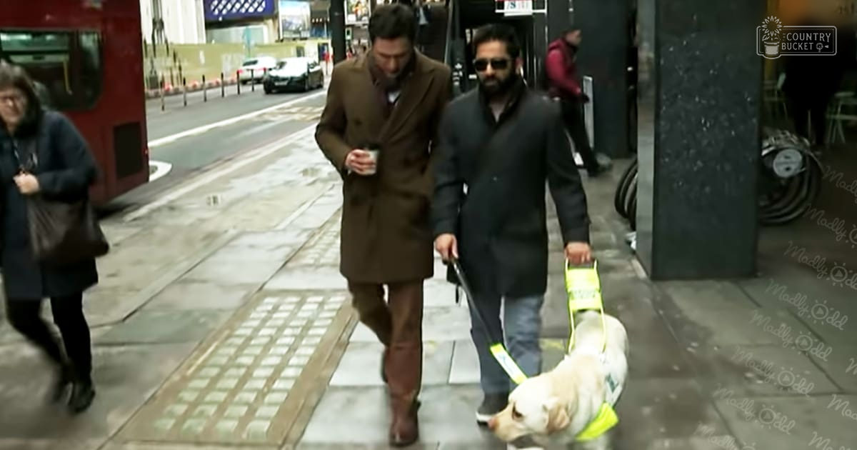 An adult male walking with a guide dog in an urban street scene, likely autumn or winter.