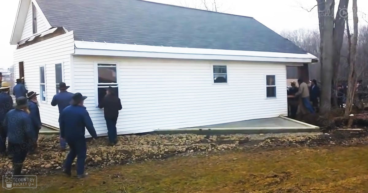 A house being moved on a flatbed trailer in an outdoor rural area with trees and grassy fields, late fall or early spring season, daytime light.