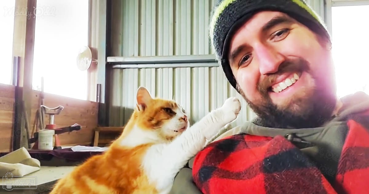 An orange tabby cat with white chest markings sits in a workshop or garage alongside an adult male wearing a dark knit cap and red-and-black plaid flannel shirt, surrounded by tools and metal shelves.