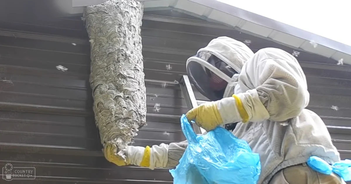 Adult male beekeeper in full protective suit removing a wasp nest outdoors near corrugated metal siding, daytime fair weather conditions.