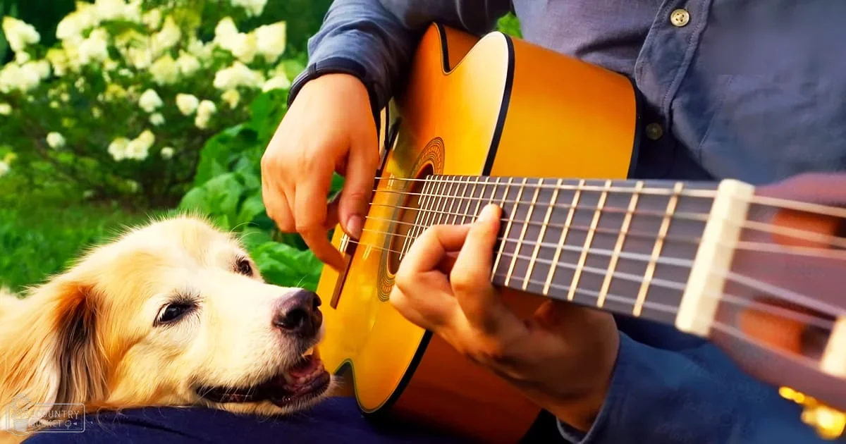 An adult male playing guitar with a golden retriever resting its head against him in an outdoor garden setting on a bright daytime.