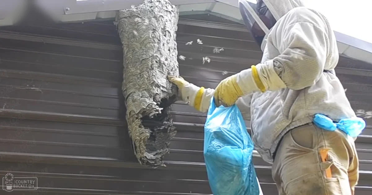 Adult male in white full-body protective suit with yellow gloves, removing a wasp nest from a metal-clad wall in a residential area during daytime.