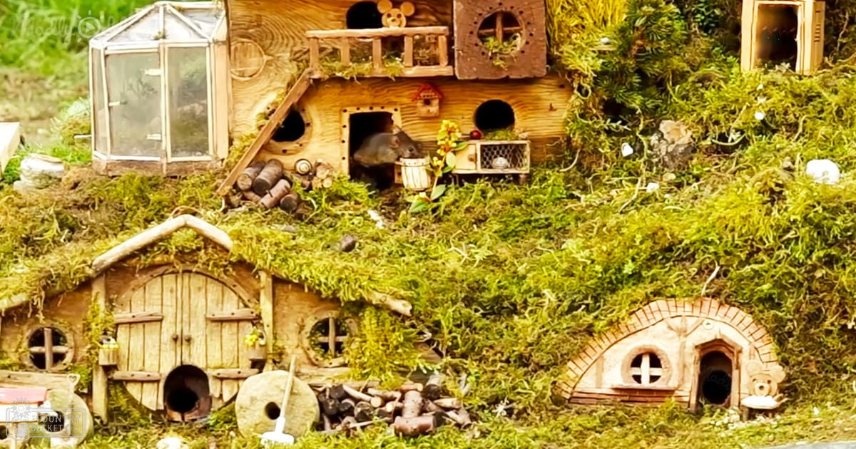 A whimsical hobbit-like village scene with small rodent inside a structure on an outdoor hillside, lush greenery and earth tones indicating spring or summer day.