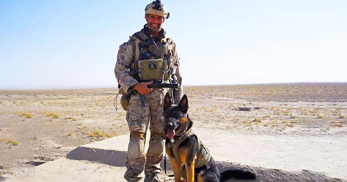 An adult male soldier in a desert with his black and tan German Shepherd on a sunny day