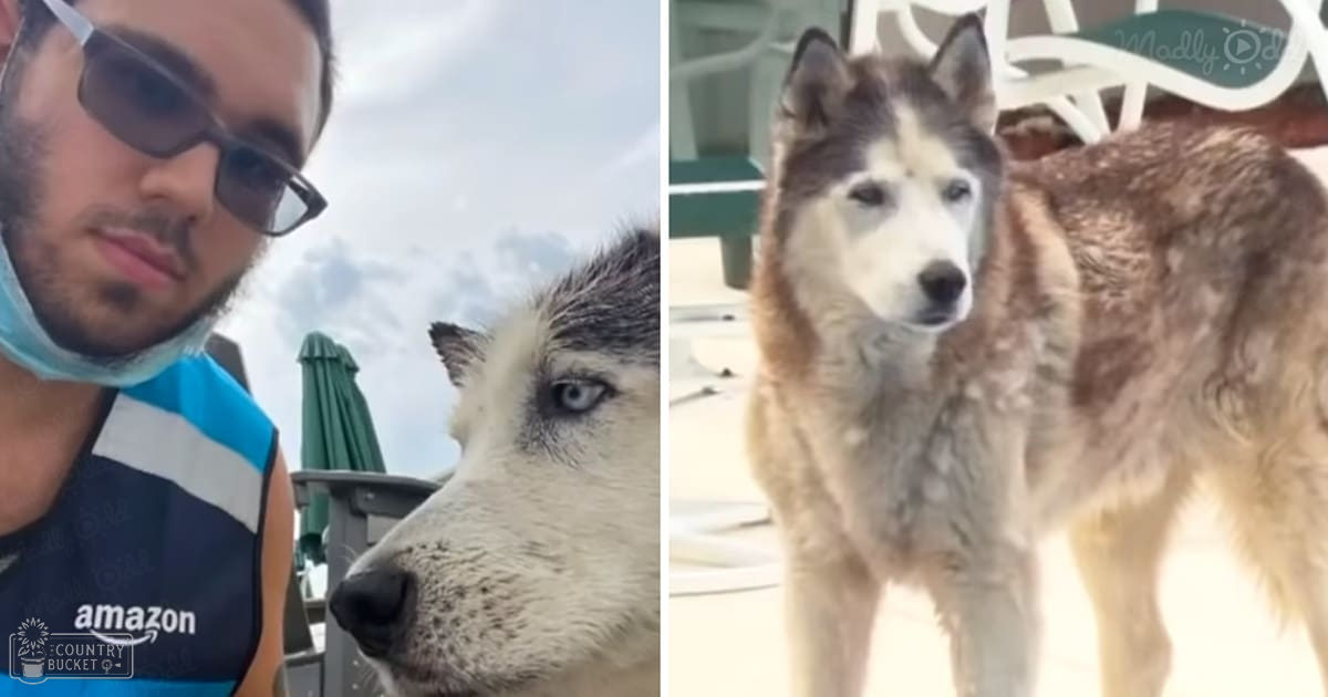 A young adult male wearing a blue and white striped Amazon shirt, sunglasses, and a light blue surgical mask around his neck walks with an adult Husky dog in an outdoor setting under cloudy skies.