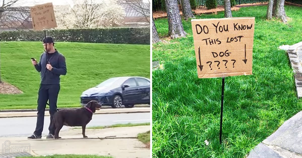 Adult male wearing dark hoodie and straight-cut pants with black sneakers. Labrador Retriever dog beside him in a residential outdoor setting, likely spring or summer.