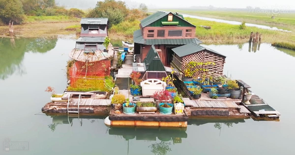 A serene floating house in a lush green waterway with potted plants and gardening tools on its deck, suggesting spring or summer in a rural setting with abundant vegetation.