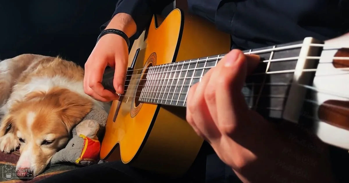 An adult male playing a yellow acoustic guitar with a golden retriever nearby, in an indoor setting during evening or night.