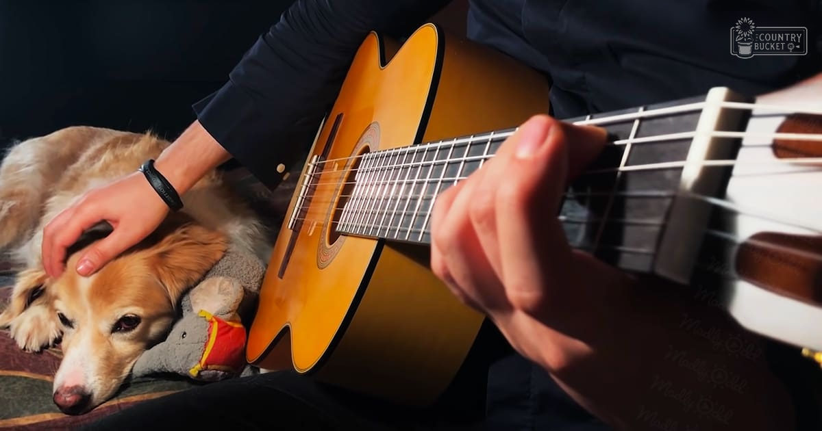 Adult male playing guitar with Golden retriever resting nearby in an indoor setting.