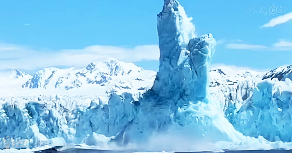 glacier calving
