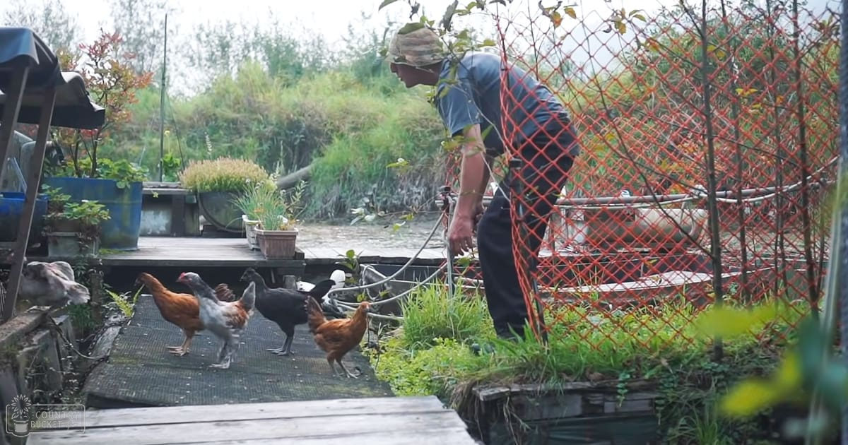 man has been living off-grid on an island he built himself