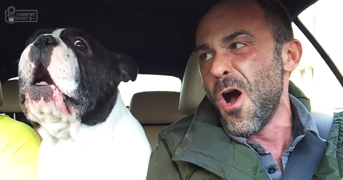 A middle-aged man wearing a green jacket and blue shirt sits inside a car with a black-and-white dog, likely a Boxer breed, beside him in an urban setting during the daytime.