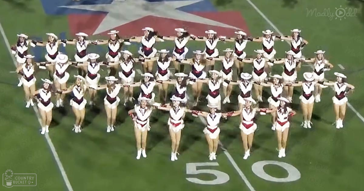 Young female cheerleaders performing at an American football game, wearing white uniforms with maroon and navy blue accents, outdoors on a bright day.