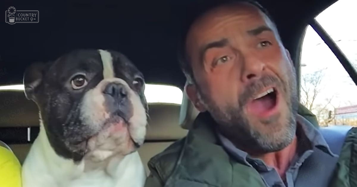 A middle-aged adult male in a dark green jacket sits with his Boston Terrier dog, which has black-and-white coat and pinkish markings around the mouth. The scene is set inside a car on an overcast day during late fall or early spring.