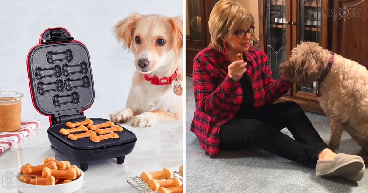 A middle-aged female wearing a red plaid shirt and black pants stands in front of a dog-themed kitchen appliance. A glass jar with a red and white striped cloth, bone-shaped dog biscuit maker, and bowl of dog treats are visible on the counter.