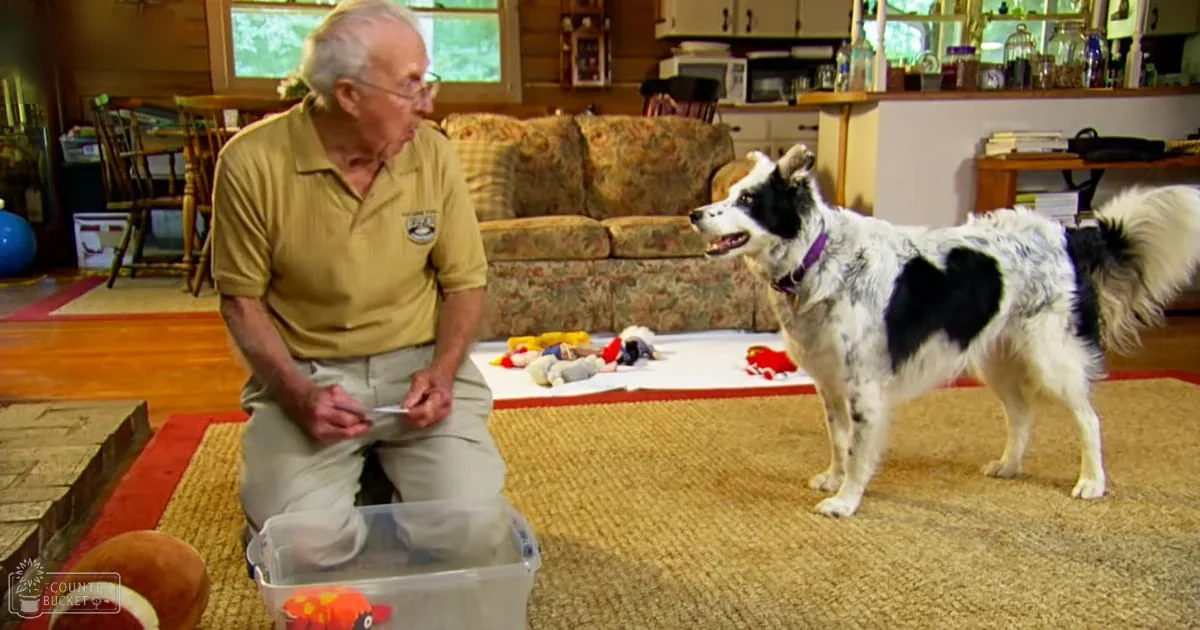 An older adult male in a cozy living room with a Border Collie dog, wearing a light yellow polo shirt and khaki pants.