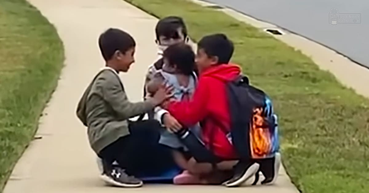 Children interacting outdoors on a sidewalk next to a grassy area in late afternoon or early evening light.