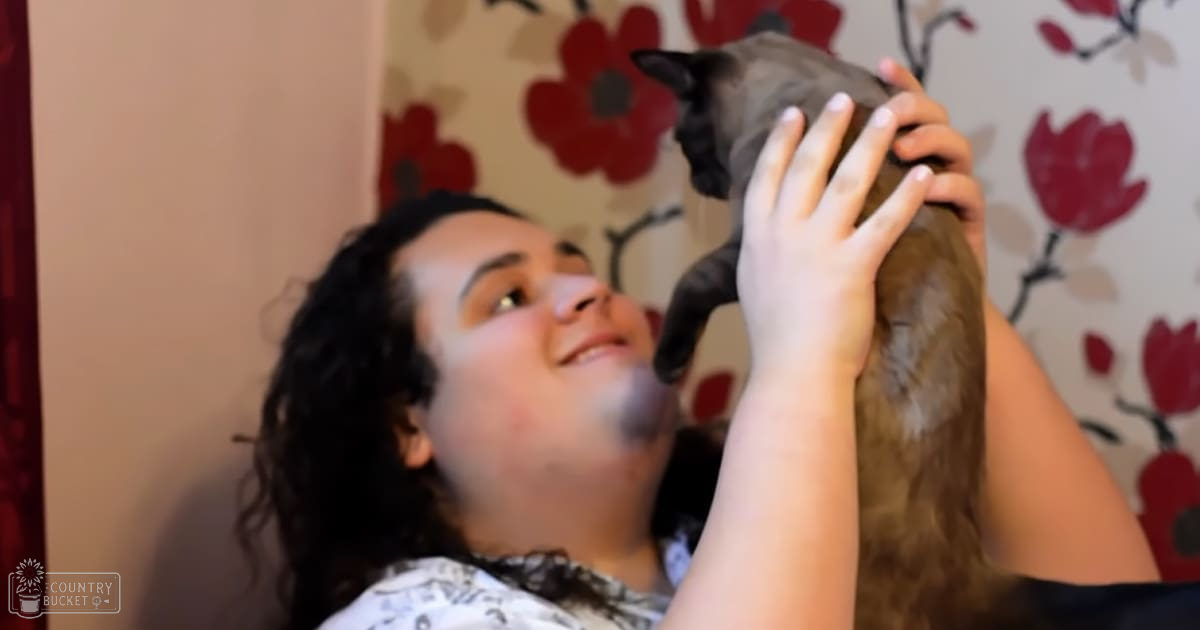 An adult female holds a Siamese cat indoors with floral wallpaper in the background, suggesting daytime natural lighting.