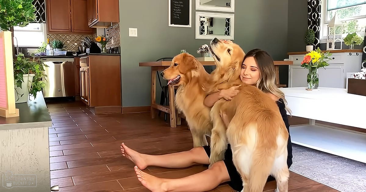 A woman with two golden retrievers in a home kitchen during the daytime