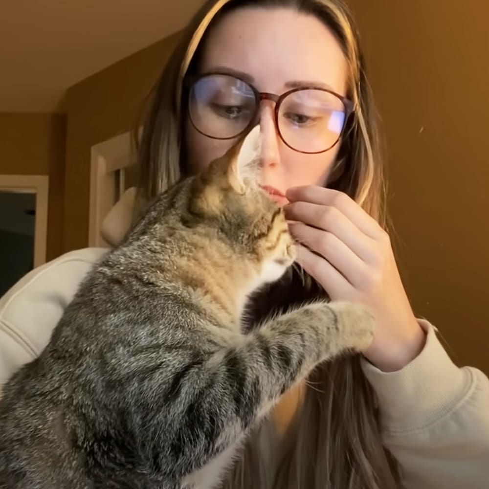 A tabby cat held by an adult female wearing a beige sweatshirt indoors under warm artificial lighting.