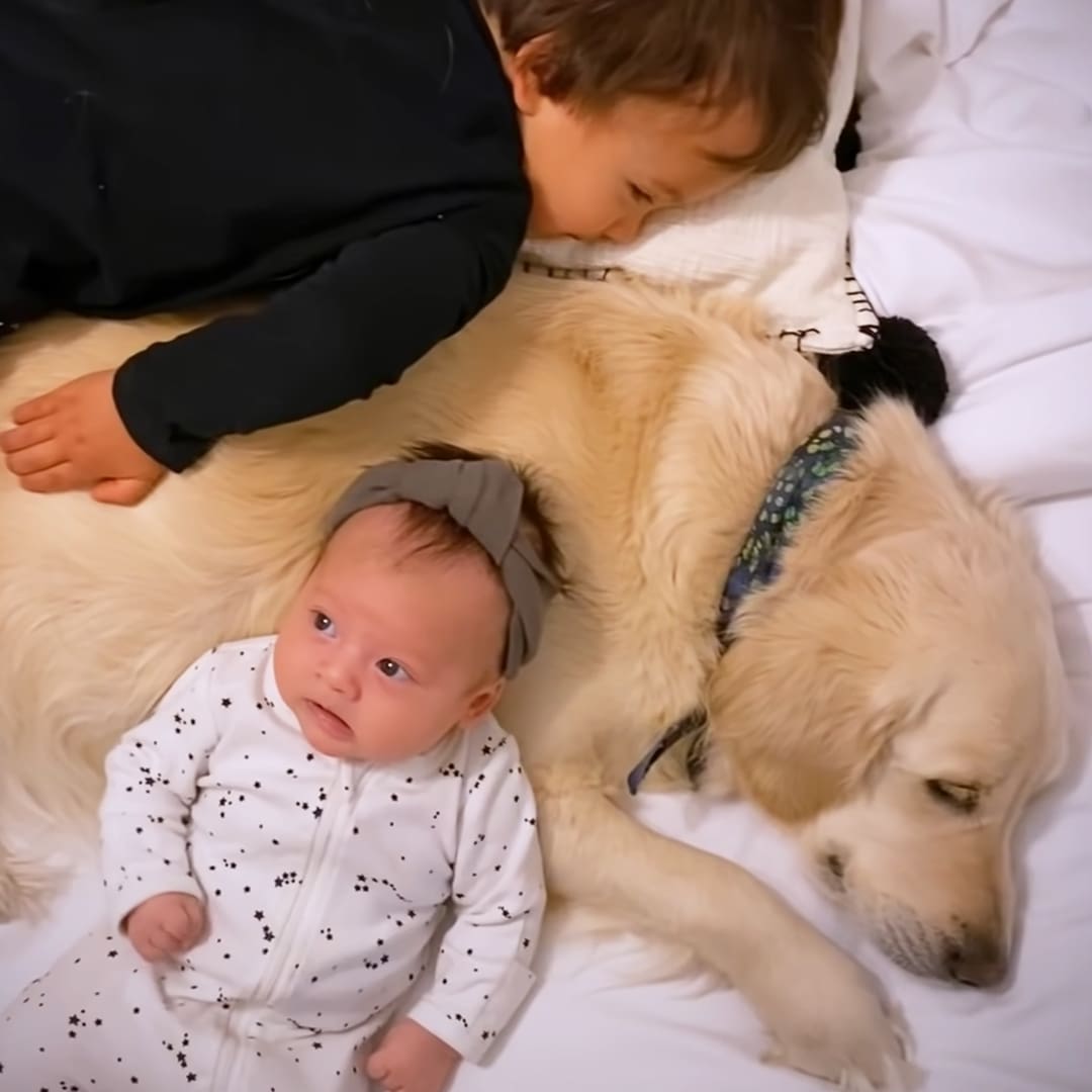 A baby wearing a white onesie with black star patterns lies next to an adult child and a Golden Retriever in a brightly lit bedroom.