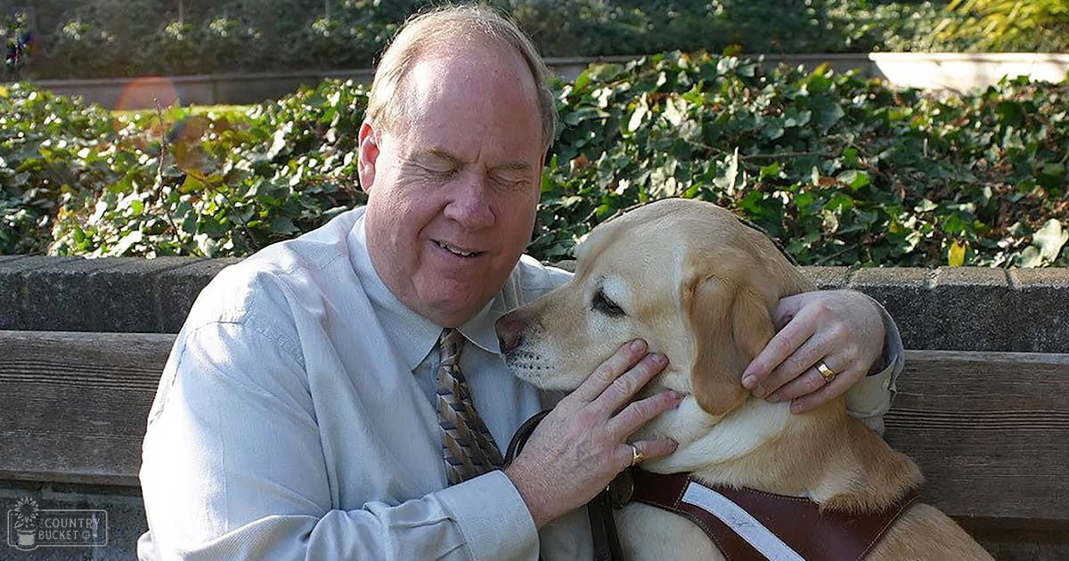 A middle-aged adult male in a light-colored dress shirt and patterned tie, seated outdoors with his guide dog, surrounded by greenery under sunny late afternoon light.